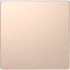 Blanking cover, champagne metallic, System Design