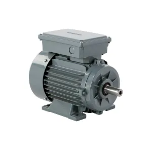 Motor electric monofazat 0.55KW, 3000RPM, B3-2 condensatoare