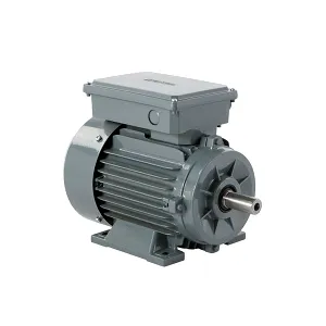 Motor electric monofazat 2.2KW, 1500RPM, B3-2 condensatoare