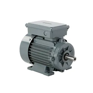 Motor electric monofazat 0.75KW, 3000RPM, B3-2 condensatoare