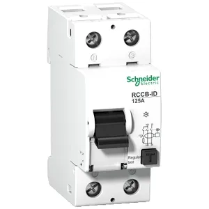 Intreruptor curent Rezidual Id, 2 Poli, 125 A, Class A 30 Ma