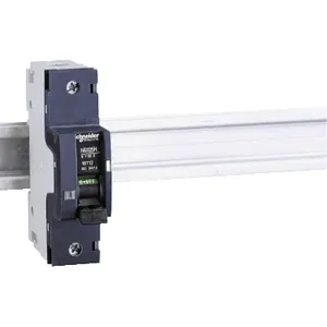 Acti9 Intreruptor Automat, Ng125H, 1 Pol, 10 A, curba C