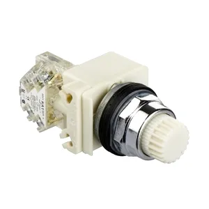 Buton Luminos Alb  30 - Aparent, Revenire Cu Arc - 24 V - 1 Co