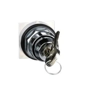 Selector  30 - 2 Pozitii - Cu Cheie - E10 - Scoatere In Orice Pozitie