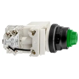 Buton Luminos Verde  30 - Aparent, Cu Revenire - 24 V - 1 D/I