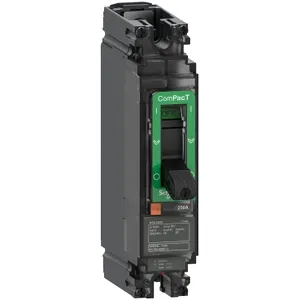 Intreruptor ComPacT NSX160M AC/DC, 40 kA la 240 VAC, unitate de declansare TMD 125A, 1 pol 1d