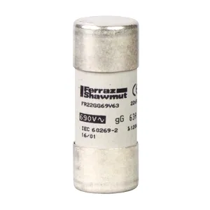 Patron Siguranta Nfc 22 X 58 Mm - Cilindric - Gg 100 A - Fara Indicatie