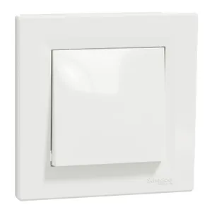 Asfora, Intrerupator cu revenire, 10A fara surub alb