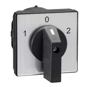 Comutator Cu Came - 2 Poli - 60