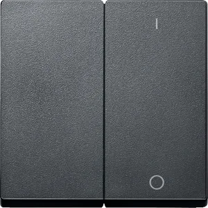 Clapeta 2 Porturi Marcat 0/1, Antracit, Sistem M