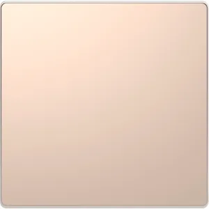 Blanking cover, champagne metallic, System Design