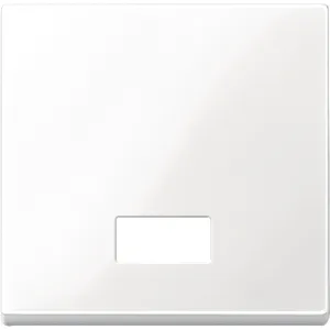 Clapeta cu Fereastra Rectangulara Indicator pentru Simboluri,Alb Polar, Lucios