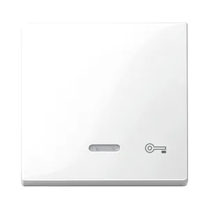 Clapeta cu Fereastra Indicator Si cu Simbol Cheie ,Alb Polar, Lucios, Sistem M