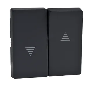 Clapeta pentru Comutator Si Buton Rulou Storuri, Antracit, Sistem M