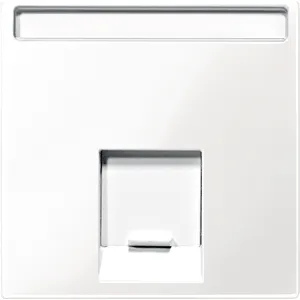 Placa Centrala 1 Prt pentru Conectr. Schneider Electric Rj45,Alb Polar, Lucios