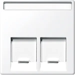 Placa Centrala 2 Prt pentru Conectr. Schneider Electric Rj45,Alb Polar, Lucios