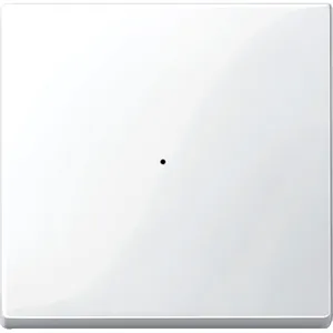 Clapeta pentru Modul cu 1 Buton, Alb Polar, Lucios, Sistem M