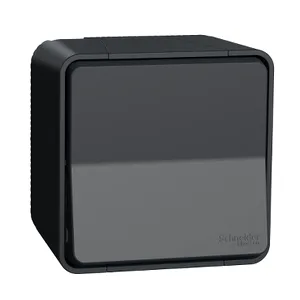 Mureva intrerupator bipolar, PT  gri