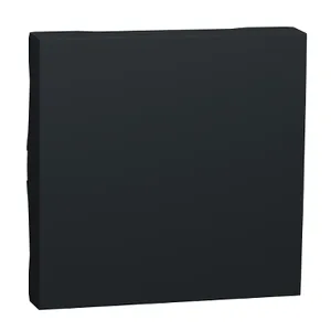 Noua Unica, Clapeta intrerupator Unica anterioara 2m antracit