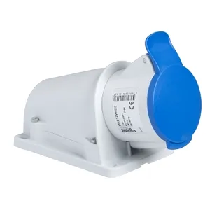 Priza Pratika, surub, Angulara, 16A, 2P + E, 200, 250 V Ac, Perete