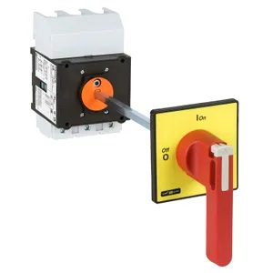 Intrerup. Sarc. Vccf - 3 Poli - 690 V 125 A - Maner Rosu Lung, Blocabil Cu Lacat