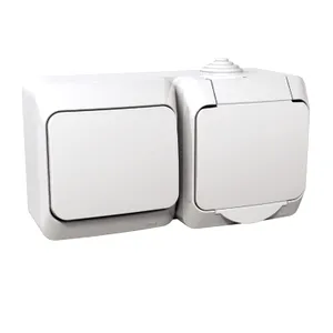 Cedar Plus, Iesire Priza Simpla Partea E+Comutator 1 Pol 2 Cai, 16A(X), Alb