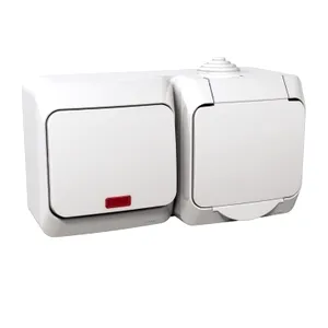 Priza Simpla impamantare+Comutator cu revenire, 16A(X),Indicator luminos, Alb