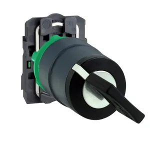 Selector  22, 2 Pozitii, Oprire In Poz., Incuietoare, Ronis 455, 1 No