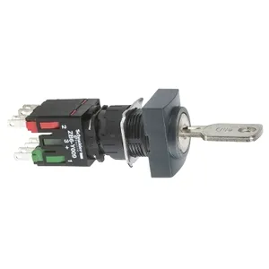 Selector cu Cheie Dreptunghiular,  16, 2 Poz., Rama din Plastic, 1 No + 1Nc