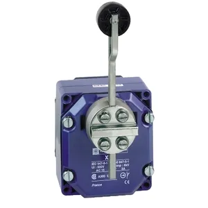 Limitator Xcr - Levier Cu Rola Termoplastic Cu Revenire - 2X(1Ni+Nd)