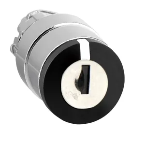 Cap Selector 3 Pozitii cu Revenire 22 Ronis 455