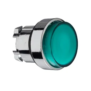 Cap de Buton iluminat Proeminent Verde  22, Revenire cu Arc, pentru Led Integral