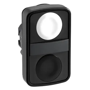 Buton cu Cap dublu Alb Incastrat/Negru Incastrat 22 Nemarcat