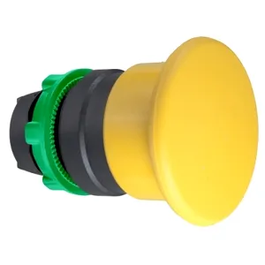 Cap Galben 40 Ciuperca cu Revenire 22