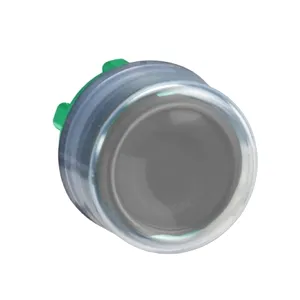 Cap Buton Aparent Negru 22 cu Revenire Nemarcat