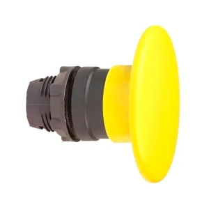 Cap Galben 60 Ciuperca cu Revenire 22