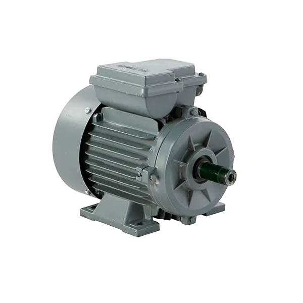 Motor electric monofazat 3KW, 3000RPM, B3-1 condensator