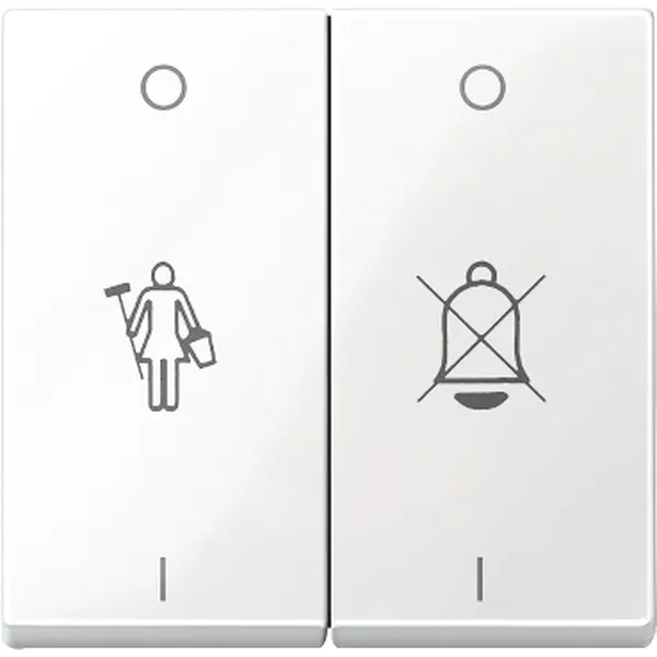 Clapeta 2 Porturi Marcat pentru Dnd,Alb Polar, Lucios, Sistem M