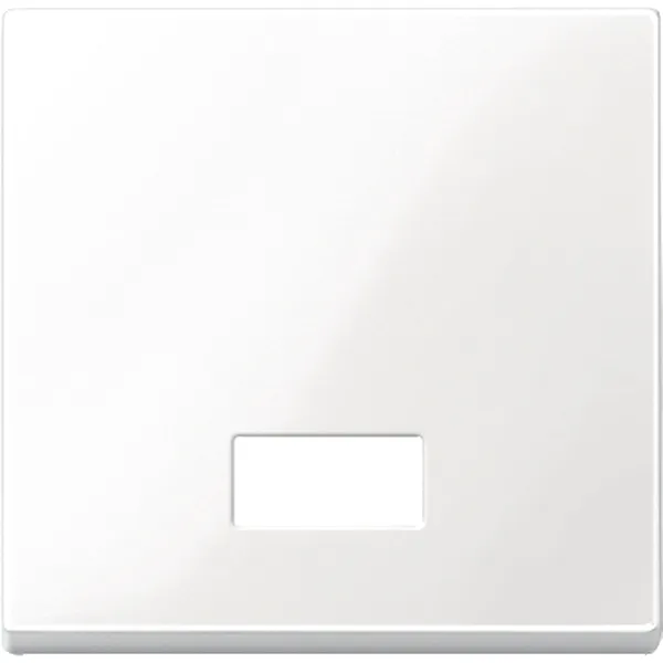 Clapeta cu Fereastra Rectangulara Indicator pentru Simboluri,Alb Polar, Lucios