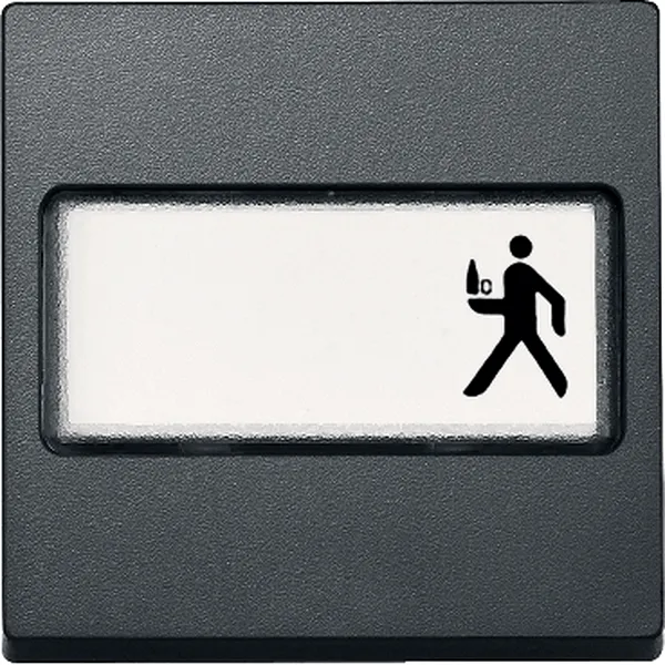 Clapeta cu Loc pentru Eticheta, Antracit, Sistem M