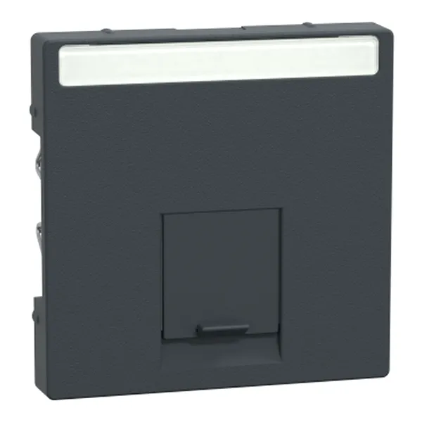 Placa Centrala simpla pentru Conector-Schneider Electric Rj45, Antracit