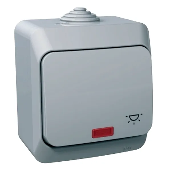 Cedar Plus, Intrerupator cu revenire cu simbol lumina si indicator luminos, 16A, gri